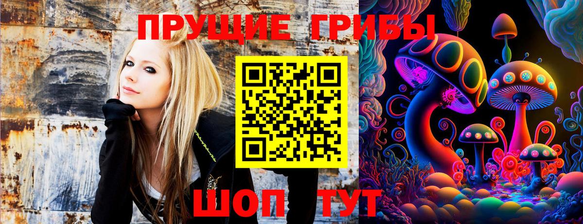 Псилоцибиновые грибы мухоморы  Вход с VPN  Псилоцибиновые грибы Magic Shrooms  Волгодонск 